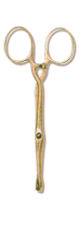 Artery forceps